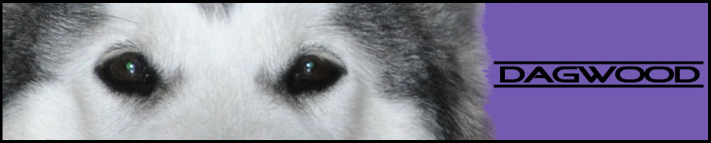 Dagwood, Alaskan Malamute-La Jolla, California